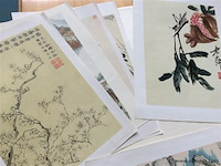Map chinese tekeningen compleet - afbeelding 2 van  3