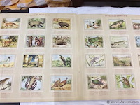 Map chocolat jacques - afbeelding 3 van  4