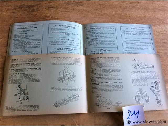 Mapjes 1962 eerste zorgen - afbeelding 2 van  2