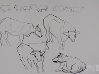 Marcel gordts (1934-2020) - afbeelding 3 van  3