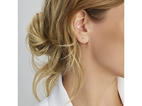 Marie celeste oorknoppen zirkonia 4 mm goud - afbeelding 3 van  3