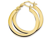Marie celeste oorringen vierkante buis 20 mm goud - afbeelding 1 van  3
