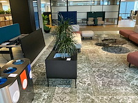 Markant plant met pot/tafel - afbeelding 2 van  4