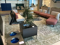 Markant plant met pot/tafel - afbeelding 3 van  4