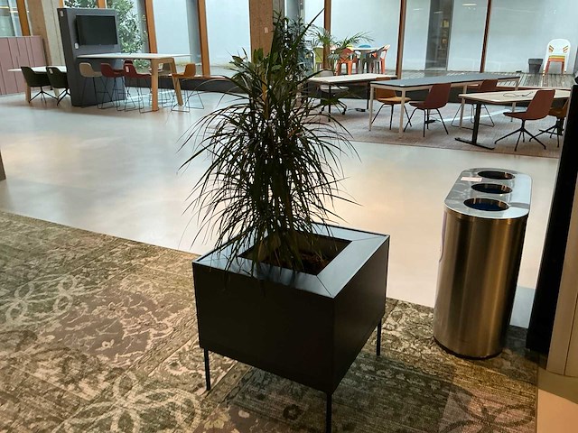 Markant plant met pot/tafel - afbeelding 4 van  4