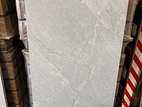 Marmerlook grijs tegel 60x120 48,96 m2 - afbeelding 1 van  5