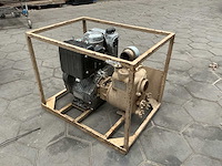 Marsh waterpomp - afbeelding 3 van  7