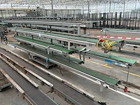 Martin stolze potplant transportbandset - afbeelding 2 van  9