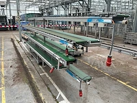 Martin stolze potplant transportbandset - afbeelding 4 van  9