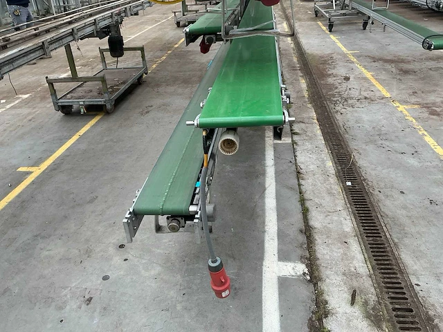 Martin stolze potplant transportbandset - afbeelding 6 van  9