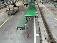 Martin stolze potplant transportbandset - afbeelding 6 van  9