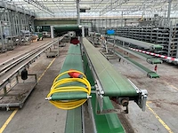 Martin stolze potplant transportbandset - afbeelding 7 van  9