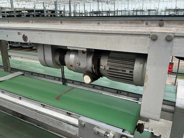 Martin stolze potplant transportbandset - afbeelding 8 van  9
