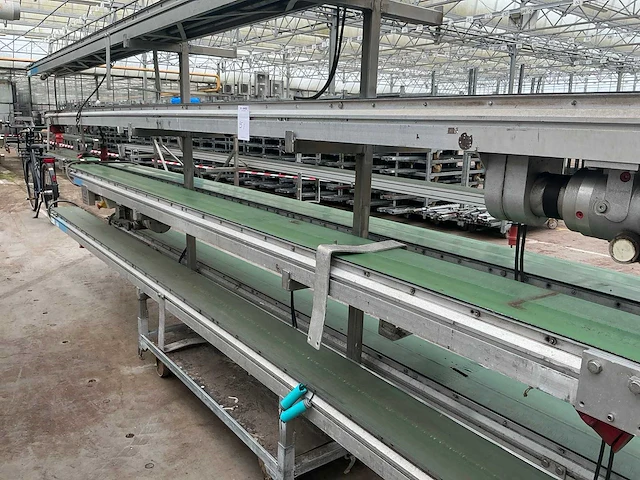 Martin stolze potplant transportbandset - afbeelding 9 van  9