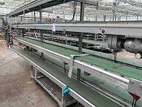 Martin stolze potplant transportbandset - afbeelding 9 van  9