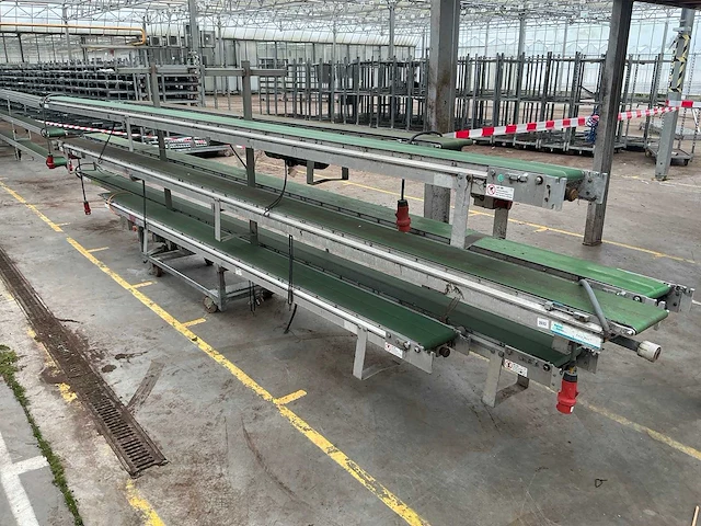 Martin stolze potplant transportbandset - afbeelding 1 van  9