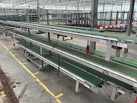 Martin stolze potplant transportbandset - afbeelding 5 van  9