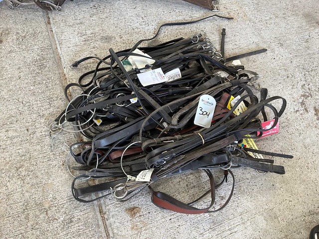 Martingaal pony/full (25x) - afbeelding 1 van  2