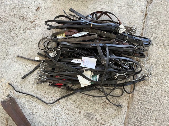 Martingaal pony/full (25x) - afbeelding 2 van  2