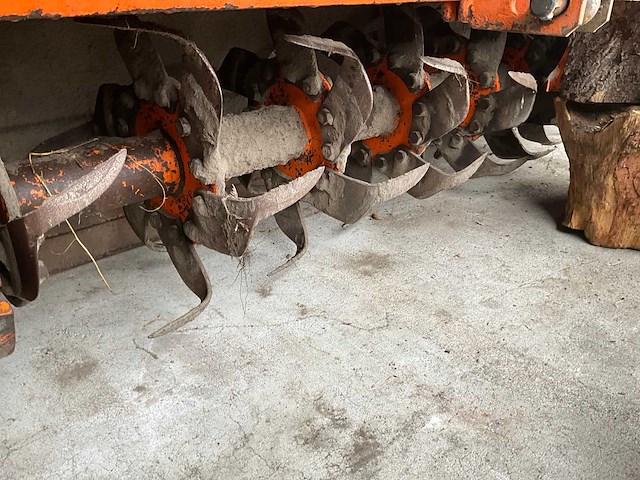 Maschio b/1 grondfrees - afbeelding 3 van  7