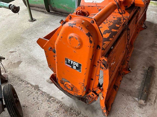 Maschio b/1 grondfrees - afbeelding 6 van  7