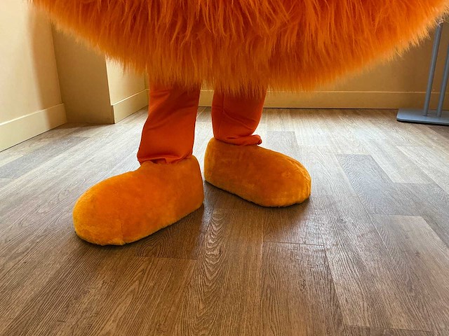 Mascotte pak - afbeelding 3 van  7