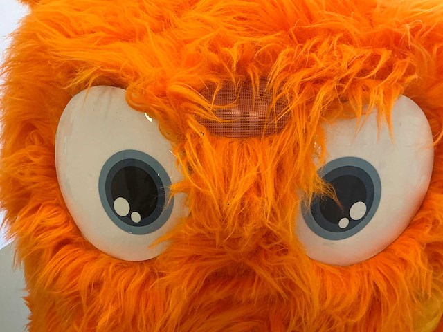 Mascotte pak - afbeelding 4 van  7