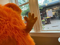 Mascotte pak - afbeelding 5 van  7