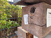 Massaranduba constructiebalk fijnbezaagd 10100x250x250mm - afbeelding 2 van  2