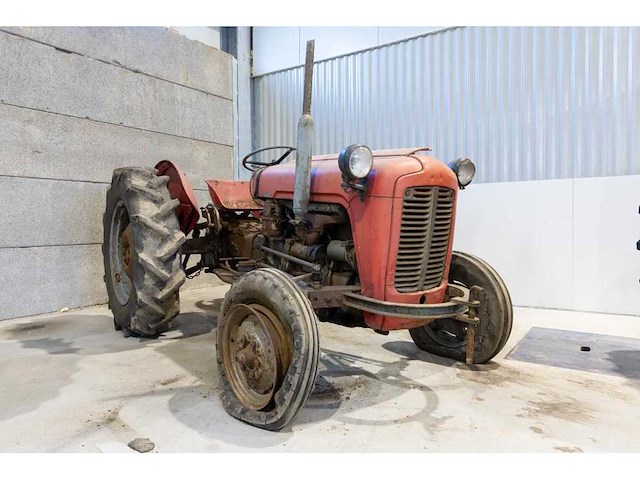 Massey ferguson - - vintage tractor - afbeelding 1 van  9