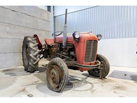 Massey ferguson - - vintage tractor