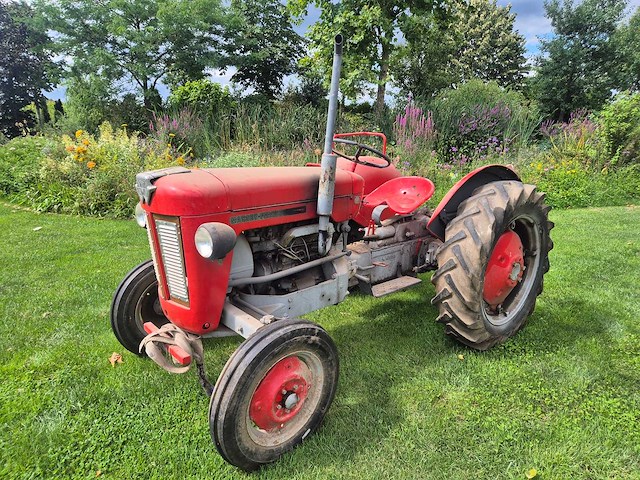Massey ferguson - 1963 - 25 - oldtimer tractor - afbeelding 1 van  11