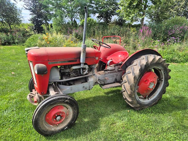 Massey ferguson - 1963 - 25 - oldtimer tractor - afbeelding 6 van  11