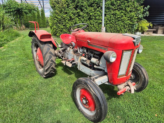 Massey ferguson - 1963 - 25 - oldtimer tractor - afbeelding 11 van  11