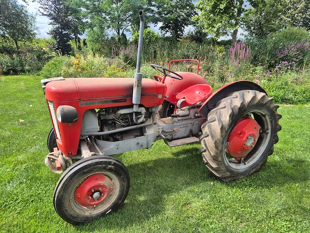 Massey ferguson - 1963 - 25 - oldtimer tractor - afbeelding 6 van  13