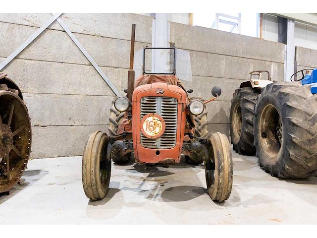 Massey ferguson 35 oldtimer tractor - afbeelding 4 van  11