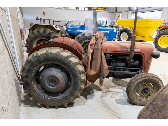Massey ferguson 35 oldtimer tractor - afbeelding 5 van  11