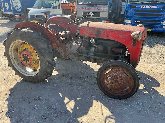 Massey ferguson tef 20 oldtimer tractor - afbeelding 2 van  2