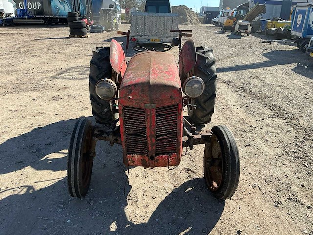 Massey ferguson tef 20 oldtimer tractor - afbeelding 2 van  9