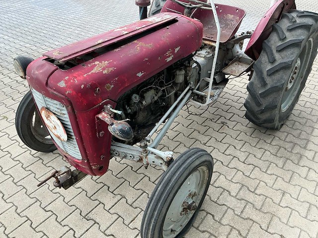 Massey furguson oldtimer tractor - afbeelding 2 van  14