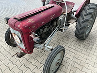 Massey furguson oldtimer tractor - afbeelding 2 van  14