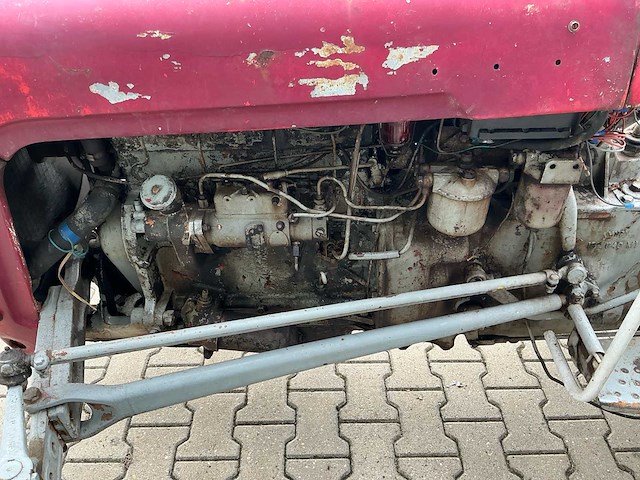 Massey furguson oldtimer tractor - afbeelding 3 van  14