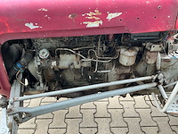 Massey furguson oldtimer tractor - afbeelding 3 van  14