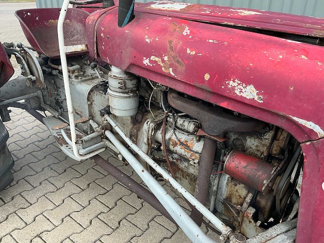 Massey furguson oldtimer tractor - afbeelding 6 van  14