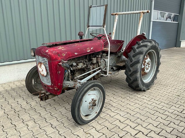Massey furguson oldtimer tractor - afbeelding 8 van  14