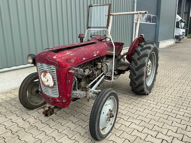 Massey furguson oldtimer tractor - afbeelding 9 van  14