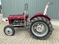 Massey furguson oldtimer tractor - afbeelding 10 van  14