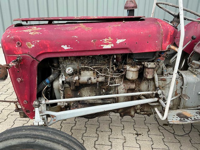 Massey furguson oldtimer tractor - afbeelding 11 van  14