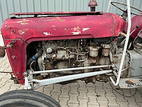 Massey furguson oldtimer tractor - afbeelding 11 van  14