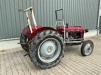 Massey furguson oldtimer tractor - afbeelding 12 van  14